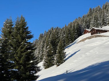 İsviçre Alplerinde ve St. Antonien (St. Antonien) köyünde tipik bir kış atmosferindeki alp ağaçlarının resimli tepe örtüleri (Kanton Graubuenden, Schweiz)