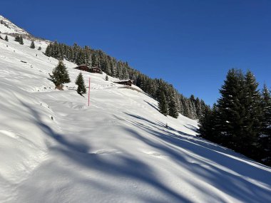 İsviçre Alplerinde ve St. Antonien (St. Antonien) köyünde tipik bir kış atmosferindeki alp ağaçlarının resimli tepe örtüleri (Kanton Graubuenden, Schweiz)
