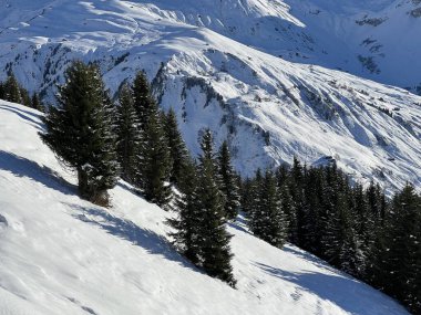 İsviçre Alplerinde ve St. Antonien (St. Antonien) köyünde tipik bir kış atmosferindeki alp ağaçlarının resimli tepe örtüleri (Kanton Graubuenden, Schweiz)