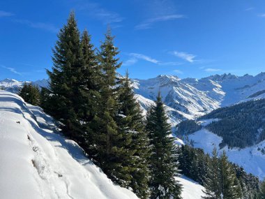 İsviçre Alplerinde ve St. Antonien (St. Antonien) köyünde tipik bir kış atmosferindeki alp ağaçlarının resimli tepe örtüleri (Kanton Graubuenden, Schweiz)