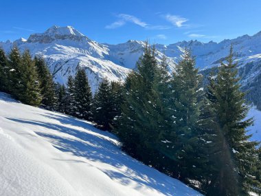 İsviçre Alplerinde ve St. Antonien (St. Antonien) köyünde tipik bir kış atmosferindeki alp ağaçlarının resimli tepe örtüleri (Kanton Graubuenden, Schweiz)