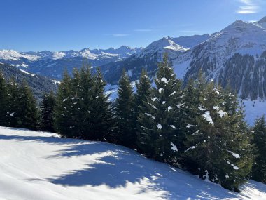 İsviçre Alplerinde ve St. Antonien (St. Antonien) köyünde tipik bir kış atmosferindeki alp ağaçlarının resimli tepe örtüleri (Kanton Graubuenden, Schweiz)