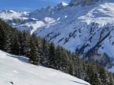 İsviçre Alplerinde ve St. Antonien (St. Antonien) köyünde tipik bir kış atmosferindeki alp ağaçlarının resimli tepe örtüleri (Kanton Graubuenden, Schweiz)