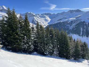 İsviçre Alplerinde ve St. Antonien (St. Antonien) köyünde tipik bir kış atmosferindeki alp ağaçlarının resimli tepe örtüleri (Kanton Graubuenden, Schweiz)