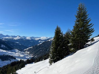 İsviçre Alplerinde ve St. Antonien (St. Antonien) köyünde tipik bir kış atmosferindeki alp ağaçlarının resimli tepe örtüleri (Kanton Graubuenden, Schweiz)