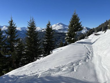 İsviçre Alpleri ve St. Antonien (Kanton Graubuenden, Schweiz) Kantonu üzerindeki St. Antoenien köyünün taze dağlık kar örtüsü üzerinde harika kış yürüyüş yolları ve izler vardır.)