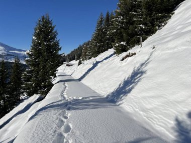 İsviçre Alpleri ve St. Antonien (Kanton Graubuenden, Schweiz) Kantonu üzerindeki St. Antoenien köyünün taze dağlık kar örtüsü üzerinde harika kış yürüyüş yolları ve izler vardır.)