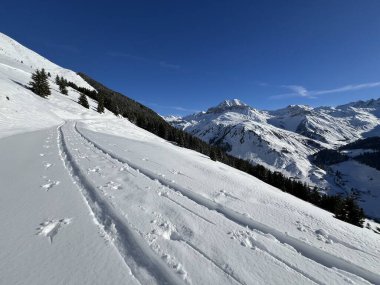 İsviçre Alpleri ve St. Antonien (Kanton Graubuenden, Schweiz) Kantonu üzerindeki St. Antoenien köyünün taze dağlık kar örtüsü üzerinde harika kış yürüyüş yolları ve izler vardır.)