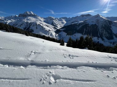 İsviçre Alpleri ve St. Antonien (Kanton Graubuenden, Schweiz) Kantonu üzerindeki St. Antoenien köyünün taze dağlık kar örtüsü üzerinde harika kış yürüyüş yolları ve izler vardır.)