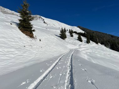 İsviçre Alpleri ve St. Antonien (Kanton Graubuenden, Schweiz) Kantonu üzerindeki St. Antoenien köyünün taze dağlık kar örtüsü üzerinde harika kış yürüyüş yolları ve izler vardır.)