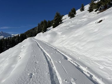 İsviçre Alpleri ve St. Antonien (Kanton Graubuenden, Schweiz) Kantonu üzerindeki St. Antoenien köyünün taze dağlık kar örtüsü üzerinde harika kış yürüyüş yolları ve izler vardır.)