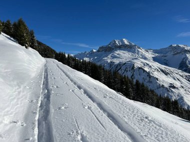 İsviçre Alpleri ve St. Antonien (Kanton Graubuenden, Schweiz) Kantonu üzerindeki St. Antoenien köyünün taze dağlık kar örtüsü üzerinde harika kış yürüyüş yolları ve izler vardır.)