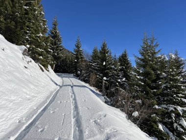İsviçre Alpleri ve St. Antonien (Kanton Graubuenden, Schweiz) Kantonu üzerindeki St. Antoenien köyünün taze dağlık kar örtüsü üzerinde harika kış yürüyüş yolları ve izler vardır.)