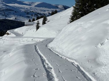 İsviçre Alpleri ve St. Antonien (Kanton Graubuenden, Schweiz) Kantonu üzerindeki St. Antoenien köyünün taze dağlık kar örtüsü üzerinde harika kış yürüyüş yolları ve izler vardır.)
