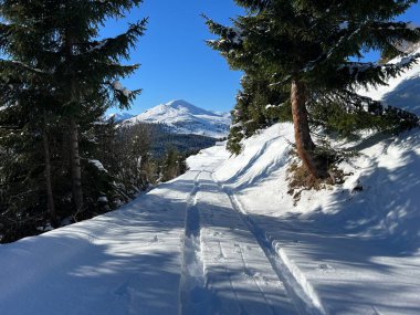 İsviçre Alpleri ve St. Antonien (Kanton Graubuenden, Schweiz) Kantonu üzerindeki St. Antoenien köyünün taze dağlık kar örtüsü üzerinde harika kış yürüyüş yolları ve izler vardır.)