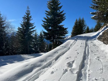 İsviçre Alpleri ve St. Antonien (Kanton Graubuenden, Schweiz) Kantonu üzerindeki St. Antoenien köyünün taze dağlık kar örtüsü üzerinde harika kış yürüyüş yolları ve izler vardır.)