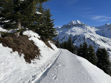 İsviçre Alpleri 'nin taze dağlık kar örtüsünde ve St. Antoenien (veya St. Antonien) - İsviçre' nin Grisons Kantonu (Kanton Graubuenden, Schweiz)