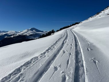 İsviçre Alpleri 'nin taze dağlık kar örtüsünde ve St. Antoenien (veya St. Antonien) - İsviçre' nin Grisons Kantonu (Kanton Graubuenden, Schweiz)