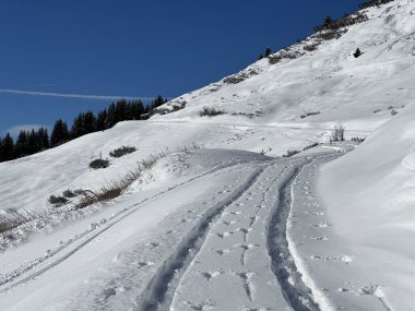 İsviçre Alpleri ve St. Antonien (Kanton Graubuenden, Schweiz) Kantonu üzerindeki St. Antoenien köyünün taze dağlık kar örtüsü üzerinde harika kış yürüyüş yolları ve izler vardır.)