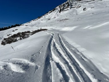İsviçre Alpleri ve St. Antonien (Kanton Graubuenden, Schweiz) Kantonu üzerindeki St. Antoenien köyünün taze dağlık kar örtüsü üzerinde harika kış yürüyüş yolları ve izler vardır.)