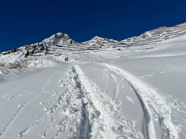İsviçre Alpleri ve St. Antonien (Kanton Graubuenden, Schweiz) Kantonu üzerindeki St. Antoenien köyünün taze dağlık kar örtüsü üzerinde harika kış yürüyüş yolları ve izler vardır.)