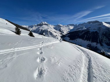 İsviçre Alpleri ve St. Antonien (Kanton Graubuenden, Schweiz) Kantonu üzerindeki St. Antoenien köyünün taze dağlık kar örtüsü üzerinde harika kış yürüyüş yolları ve izler vardır.)