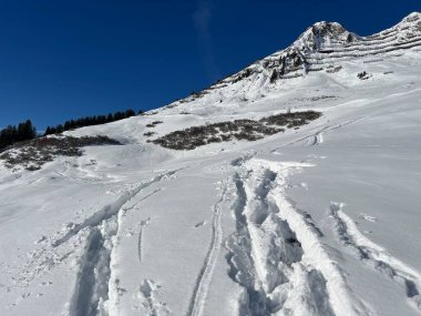 İsviçre Alpleri ve St. Antonien (Kanton Graubuenden, Schweiz) Kantonu üzerindeki St. Antoenien köyünün taze dağlık kar örtüsü üzerinde harika kış yürüyüş yolları ve izler vardır.)
