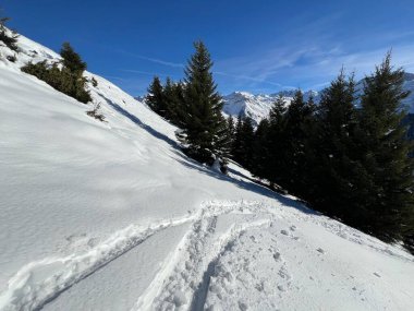 İsviçre Alpleri 'nin taze dağlık kar örtüsünde ve St. Antonien (St. Antoenien) Kanton of Grisons, İsviçre (Kanton Graubuenden, Schweiz)