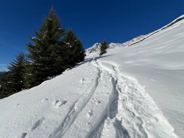 İsviçre Alpleri 'nin taze dağlık kar örtüsünde ve St. Antonien (St. Antoenien) Kanton of Grisons, İsviçre (Kanton Graubuenden, Schweiz)