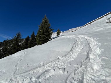İsviçre Alpleri 'nin taze dağlık kar örtüsünde ve St. Antonien (St. Antoenien) Kanton of Grisons, İsviçre (Kanton Graubuenden, Schweiz)