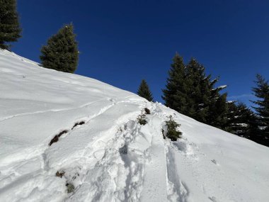 İsviçre Alpleri 'nin taze dağlık kar örtüsünde ve St. Antonien (St. Antoenien) Kanton of Grisons, İsviçre (Kanton Graubuenden, Schweiz)