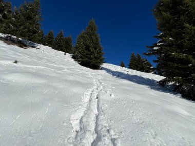 İsviçre Alpleri 'nin taze dağlık kar örtüsünde ve St. Antonien (St. Antoenien) Kanton of Grisons, İsviçre (Kanton Graubuenden, Schweiz)