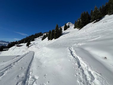 İsviçre Alpleri 'nin taze dağlık kar örtüsünde ve St. Antonien (St. Antoenien) Kanton of Grisons, İsviçre (Kanton Graubuenden, Schweiz)