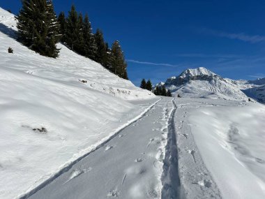 İsviçre Alpleri 'nin taze dağlık kar örtüsünde ve St. Antonien (St. Antoenien) Kanton of Grisons, İsviçre (Kanton Graubuenden, Schweiz)