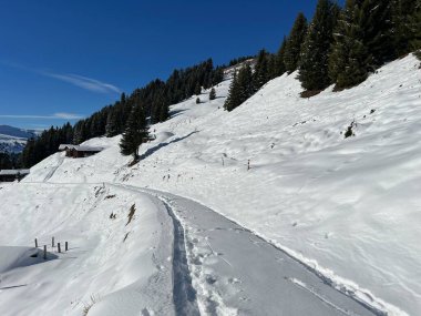 İsviçre Alpleri 'nin taze dağlık kar örtüsünde ve St. Antonien (St. Antoenien) Kanton of Grisons, İsviçre (Kanton Graubuenden, Schweiz)