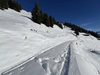 İsviçre Alpleri 'nin taze dağlık kar örtüsünde ve St. Antonien (St. Antoenien) Kanton of Grisons, İsviçre (Kanton Graubuenden, Schweiz)