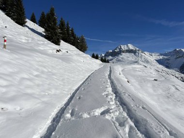 İsviçre Alpleri 'nin taze dağlık kar örtüsünde ve St. Antonien (St. Antoenien) Kanton of Grisons, İsviçre (Kanton Graubuenden, Schweiz)