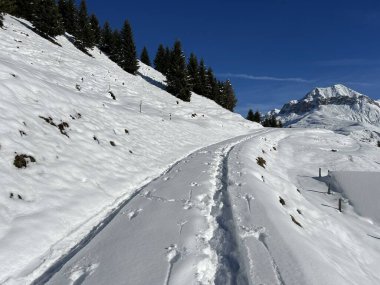 İsviçre Alpleri 'nin taze dağlık kar örtüsünde ve St. Antonien (St. Antoenien) Kanton of Grisons, İsviçre (Kanton Graubuenden, Schweiz)