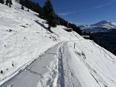 İsviçre Alpleri 'nin taze dağlık kar örtüsünde ve St. Antonien (St. Antoenien) Kanton of Grisons, İsviçre (Kanton Graubuenden, Schweiz)