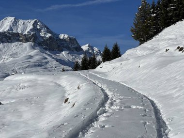 İsviçre Alpleri 'nin taze dağlık kar örtüsünde ve St. Antonien (St. Antoenien) Kanton of Grisons, İsviçre (Kanton Graubuenden, Schweiz)