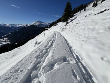 İsviçre Alpleri 'nin taze dağlık kar örtüsünde ve St. Antonien (St. Antoenien) Kanton of Grisons, İsviçre (Kanton Graubuenden, Schweiz)