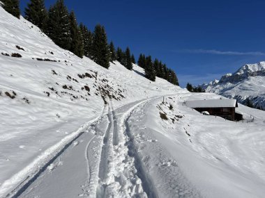 İsviçre Alpleri 'nin taze dağlık kar örtüsünde ve St. Antonien (St. Antoenien) Kanton of Grisons, İsviçre (Kanton Graubuenden, Schweiz)