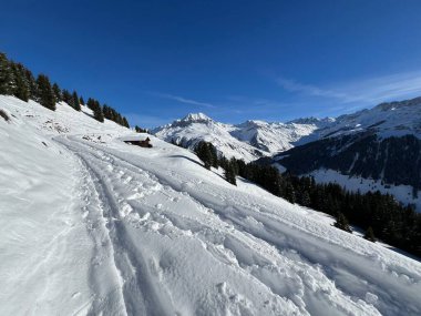 İsviçre Alpleri 'nin taze dağlık kar örtüsünde ve St. Antonien (St. Antoenien) Kanton of Grisons, İsviçre (Kanton Graubuenden, Schweiz)