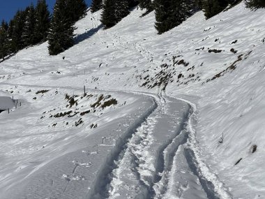 İsviçre Alpleri 'nin taze dağlık kar örtüsünde ve St. Antonien (St. Antoenien) Kanton of Grisons, İsviçre (Kanton Graubuenden, Schweiz)