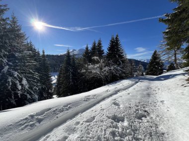 İsviçre Alpleri 'nin taze dağlık kar örtüsünde ve St. Antonien (St. Antoenien) Kanton of Grisons, İsviçre (Kanton Graubuenden, Schweiz)