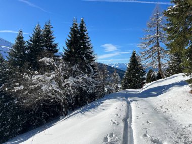 İsviçre Alpleri 'nin taze dağlık kar örtüsünde ve St. Antonien (St. Antoenien) Kanton of Grisons, İsviçre (Kanton Graubuenden, Schweiz)