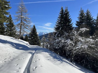 İsviçre Alpleri 'nin taze dağlık kar örtüsünde ve St. Antonien (St. Antoenien) Kanton of Grisons, İsviçre (Kanton Graubuenden, Schweiz)