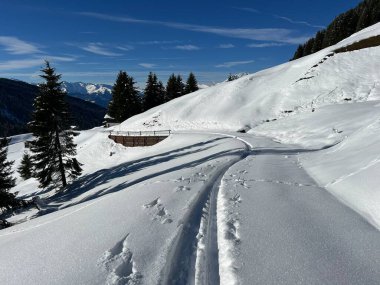 İsviçre Alpleri 'nin taze dağlık kar örtüsünde ve St. Antonien (St. Antoenien) Kanton of Grisons, İsviçre (Kanton Graubuenden, Schweiz)