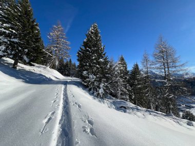 İsviçre Alpleri 'nin taze dağlık kar örtüsünde ve St. Antonien (St. Antoenien) Kanton of Grisons, İsviçre (Kanton Graubuenden, Schweiz)