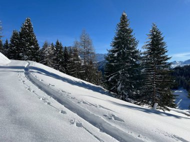İsviçre Alpleri 'nin taze dağlık kar örtüsünde ve St. Antonien (St. Antoenien) Kanton of Grisons, İsviçre (Kanton Graubuenden, Schweiz)